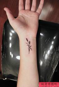 Жена китка популярен малък тръстика трева модел татуировка