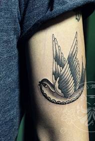 Tattoo show, beveel 'n tatoeëermerk met arm-sluk