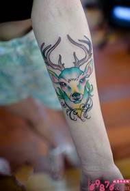 鹿の頭のタトゥーの絵を描いた内腕