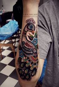Arm school peacock tattoo pattern picture