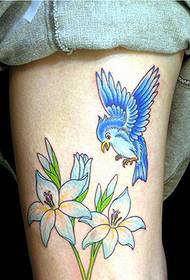 Man fermoso e fermoso aspecto de lirio e aves cadros de tatuaxes de aves