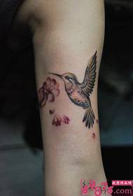 Larawan ng arm hummingbird na tattoo