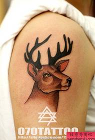 Pale ea tattoo, khothaletsa sebopeho se seholo sa tattoo ea letsoho la antelope