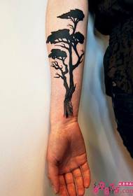 Hand, evergreen, tattoo picture