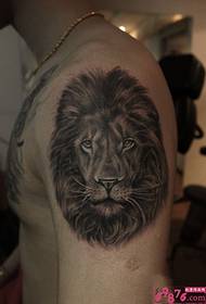 Domineering lion head big arm tattoo picture