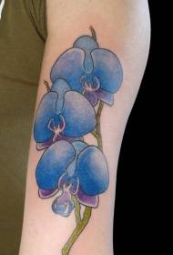 modeli tatuazh i krahut të luleve orkide të falaenopsis