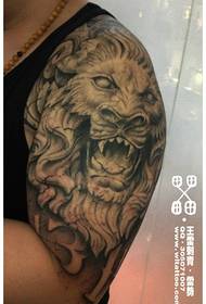 Melns glīts lauvas tetovējuma raksts