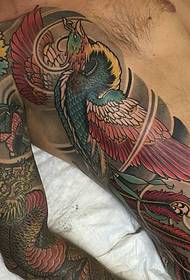 Barevný obrázek tetování štíra kombinující červený fénix a zlého draka