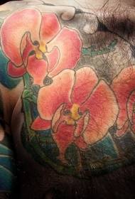 Vira duono de kolora orkideo tatuaje ŝablono