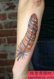 Arm color feather tattoo