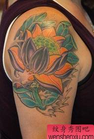Big braso tradisyonal na lotus tattoo pattern ng larawan