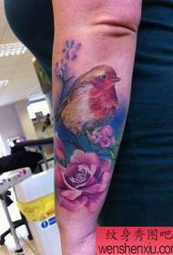 Arm color bird magpie flower tattoo