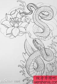 A very popular semi-python tattoo manuscript line draft