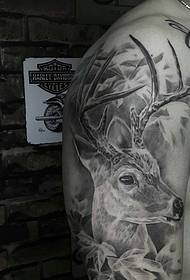 Cvjetni krak 3d jelen tetovaža uzorak je vrlo realan