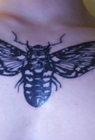 tattoo insect boys under the collar bone sketch tattoo picture