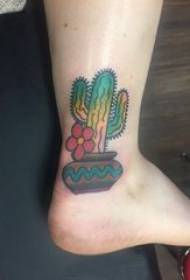 Kaktusz tetoválás lány boka színes kaktusz tetoválás kép