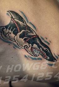 i-clavicle shark tattoo iphethini