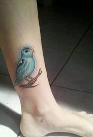 meiteņu kājas modes skaistu krāsu putnu tetovējuma figūra