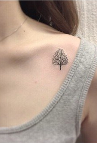 beauty clavicle small tree tattoo pattern