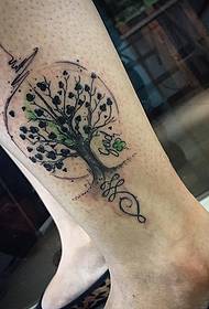modello del tatuaggio di colore dell'albero della spruzzata della caviglia