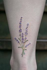 patrón de tatuaxe de lavanda de nocello