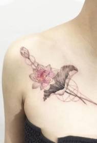 clavicle smukke lotus tatoveringsmønster