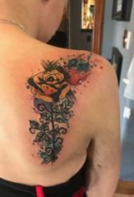 Rose tattoo figure girl's back on the delicate rose tattoo picture
