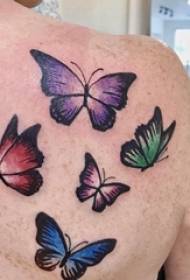 meisjes op de rug geschilderd op het verloop eenvoudige lijn dier vlinder tattoo foto