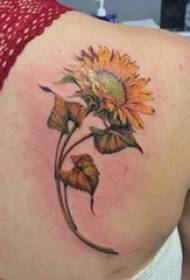 Immagine del tatuaggio del girasole La schiena della ragazza sull'immagine colorata del tatuaggio del girasole