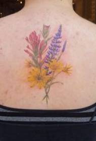 tatuatges petites flors Flors de colors fotografies del tatuatge a l'esquena de la noia