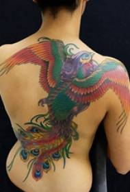 tattooed back female girl on the back of colored phoenix tattoo picture