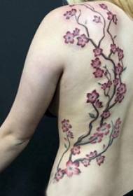 နောက်ကျောအပေါ်တက်တူးထိုးမိန်းကလေးအရောင်ချယ်ရီသစ်ပင် tattoo ပုံ