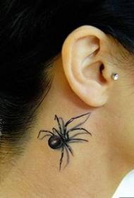 耳根の後ろにある小さな黒いクモの写真