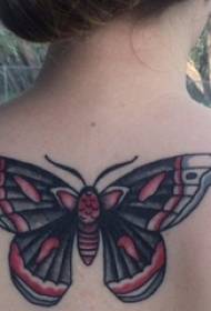 meisjes op de rug geschilderd geometrische eenvoudige lijnen kleine dieren vlinder tattoo foto's