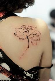 Fine Intelektuálna krása lotosového kvetu
