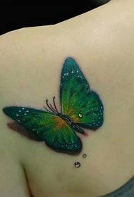 os ombreiros de beleza parecen bos cadros de tatuaxes de bolboreta