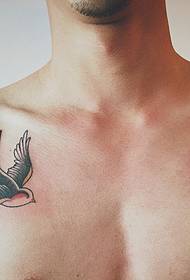 slika crno-bijelog božura s tetovažom na leđima čovjeka