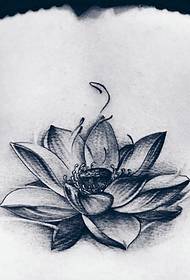 beautiful lotus tattoo picture of blooming bloom