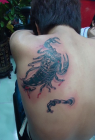 atmosfera elegante tatuaggio scorpione spalla