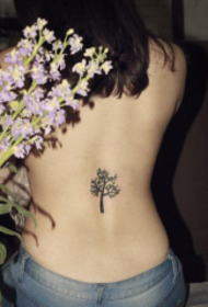 краса задніх тотем тотем дерева татуювання візерунок