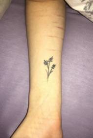 mažas šviežių augalų tatuiruotės mergaitės riešas ant juodo augalo tatuiruotės paveikslėlio