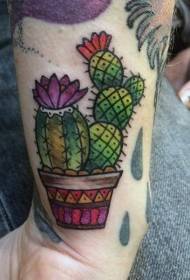 nadgarstkowy obraz tatuażu w starym kaktusie