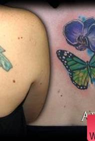 Prikladno za uzorak tetovaže pokrivenog leđa Phalaenopsis