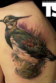back a beautiful bird tattoo pattern