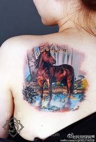girls back classic European and American color horse tattoo pattern