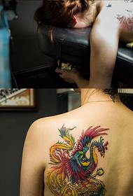 woman back phoenix tattoo scene