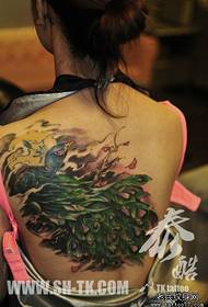 tjejens rygg vackra färg påfågel tatuering mönster
