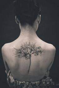 tatuatge de l'esquena en bell i negre flor de bellesa bellesa