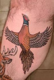 Tattoo Bird Boys' Legs on Colored Animal Tattoo Pictures