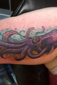 European calf tattoo male shank colored octopus tattoo picture